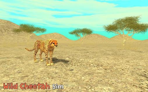 download Wild cheetah sim 3D apk